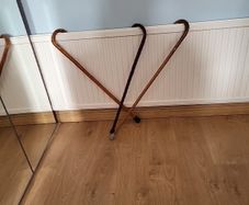 Walking sticks