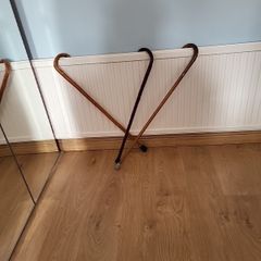 Walking sticks