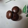 Vintage Buttons Image 5