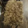 stool Image 5