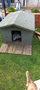 Dog kennel