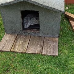 Dog kennel