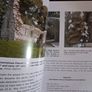 NAVAN / its People & its Past / Vol. 2 / 2013 Image 9