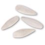 MediSepia Cuttlebone - 100% natural 9x3cmMediSepia Cuttlebone - 100% natural 9x3cm Image 2