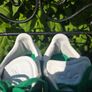 Adidas Gazelle Youth Trainers Size Uk3 EU35.5 Image 6