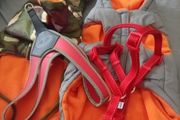 Dog accessories bundle