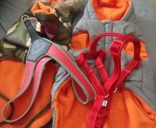 Dog accessories bundle
