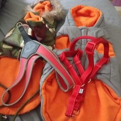 Dog accessories bundle