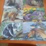 Australian Animals Placemats Image 9