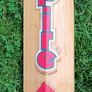 BAS Vampire Gold short handle cricket bat Image 4