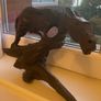 Bog Oak Art Sculpture Image 6