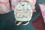 backbag