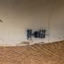 Three old serving platters Image 6