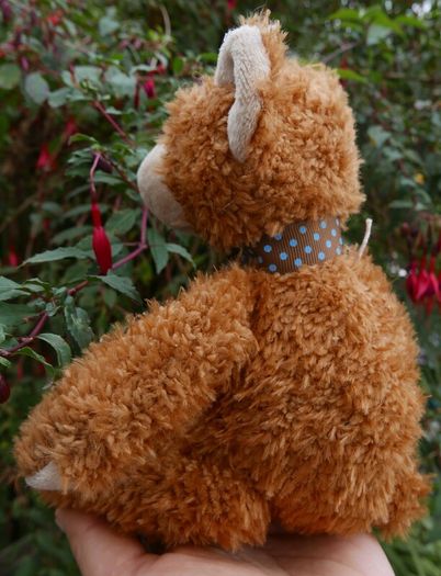 Vintage Teddy Bear