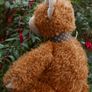 Vintage Teddy Bear Image 3