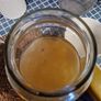 kombucha scoby Image 2