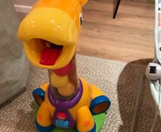 Bright stars giraffe