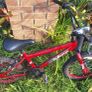 Kids bike Image 4