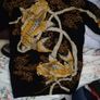 jumper for men Image 2