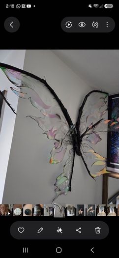Fairy wings was used as photography prop