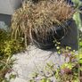 plant pots Image 5