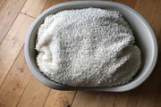 Pet Bed