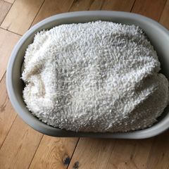 Pet Bed