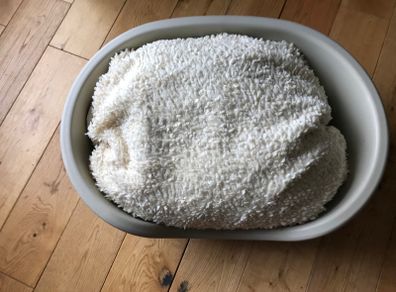 Pet Bed