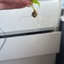 plant Image 3