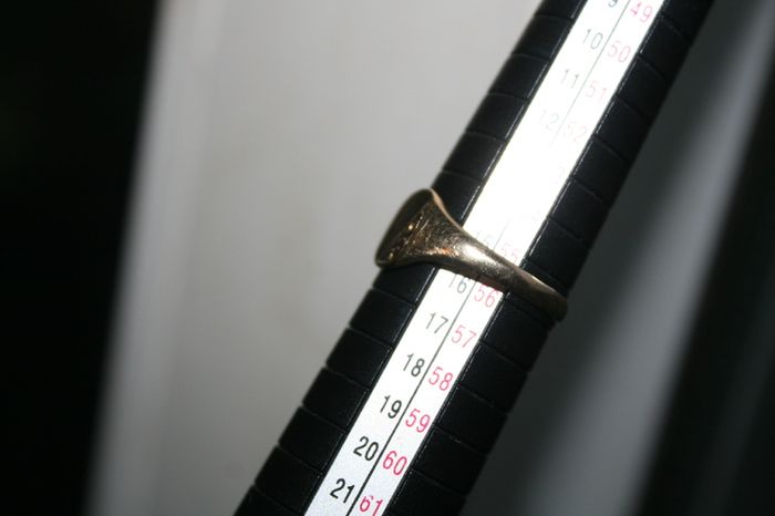 9ct Oval Signet Ring Yellow Gold Mens Ring 375 - 1,6g