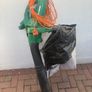Leaf Blower & Vacuum (Black & Decker) Image 2