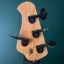 bass Image 4