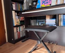 Piano stool