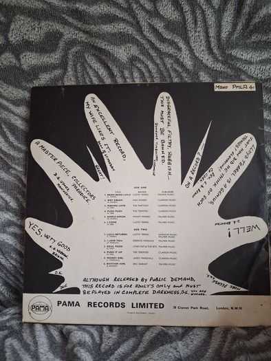 vinyl