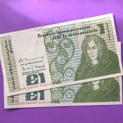 Irish one pound punt notes
