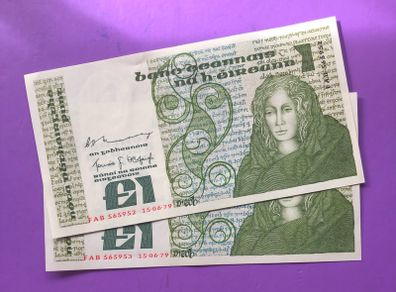 Irish one pound punt notes