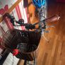 ladies bicycle Image 9
