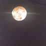 Military jacket trousers cap, Irish Army, D18 post 10e Image 7