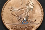 Excellent Chickless BU Ireland 1968 1d Penny Missing Chick Variety Error coin.