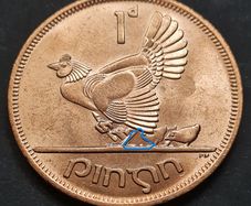 Excellent Chickless BU Ireland 1968 1d Penny Missing Chick Variety Error coin.