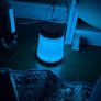 alarm clock gradient lights and bird sounds Image 2