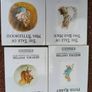 Beatrix Potter Books Collection Image 6