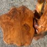 Unique Sculptural Tree Root Display Stand / Live Edge 2-Tier Table Image 9