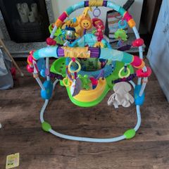 baby Einstein jumperoo