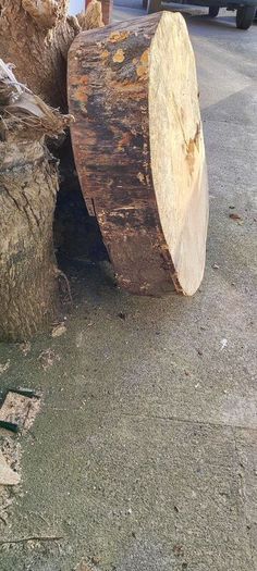 Premium Spalted Beech Wood Slabs 5 Years Air Dried