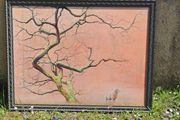 Original Oil Painting
