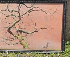 Original Oil Painting