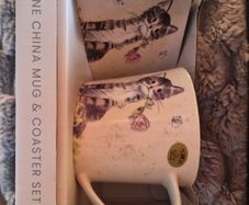 Porcelain cat mug and coaster set