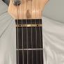Stratocaster guitar Harley Benson Image 8