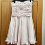 Savida champagne pale pink mini dress Image 2